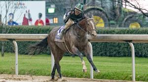 Mystik Dan, Southwest Stakes, Churchill Downs, Kentucky Derby, Eclipse Sportswire 